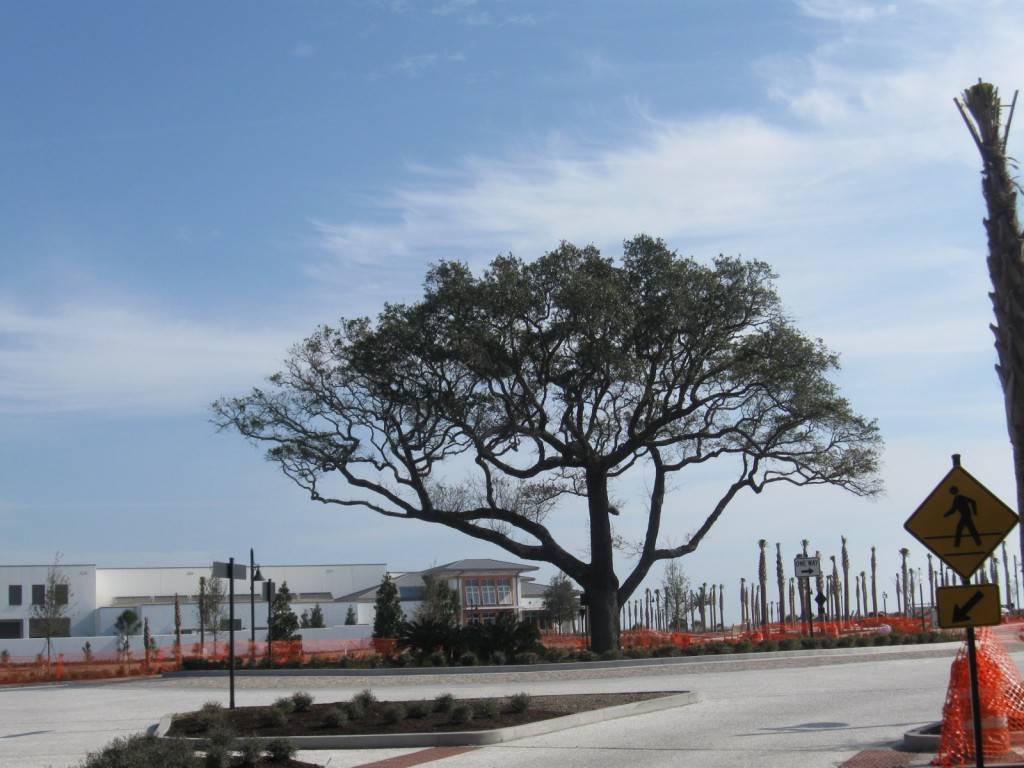 Jekyllisland 03 1024X768