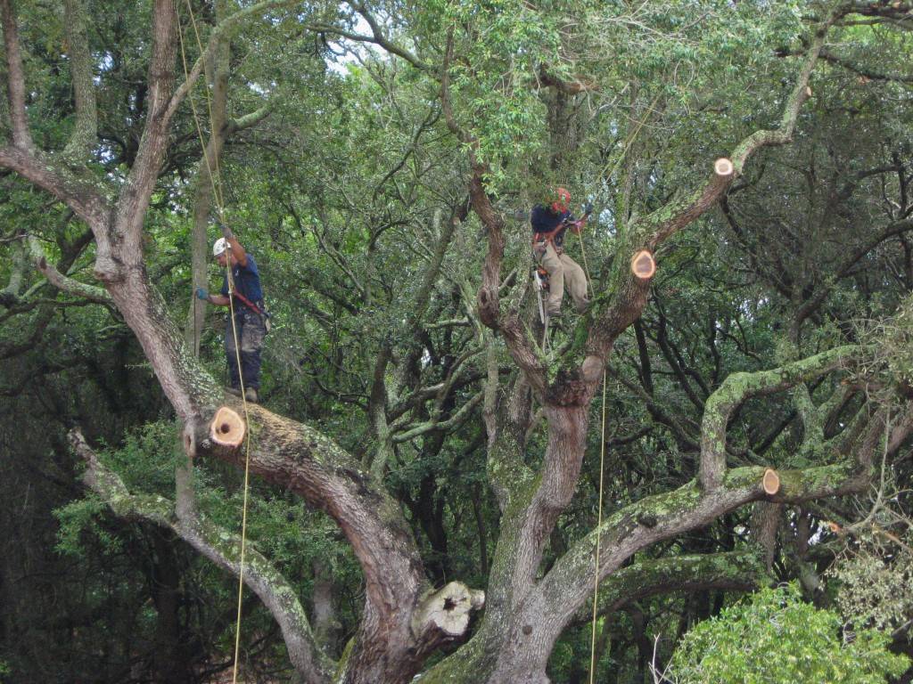 Jekyllisland 07 1024X768