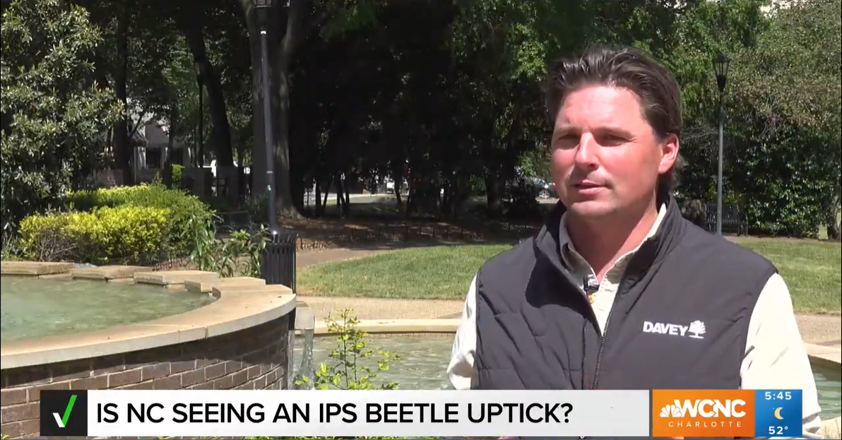 Screenshot 2025 05 19 114435