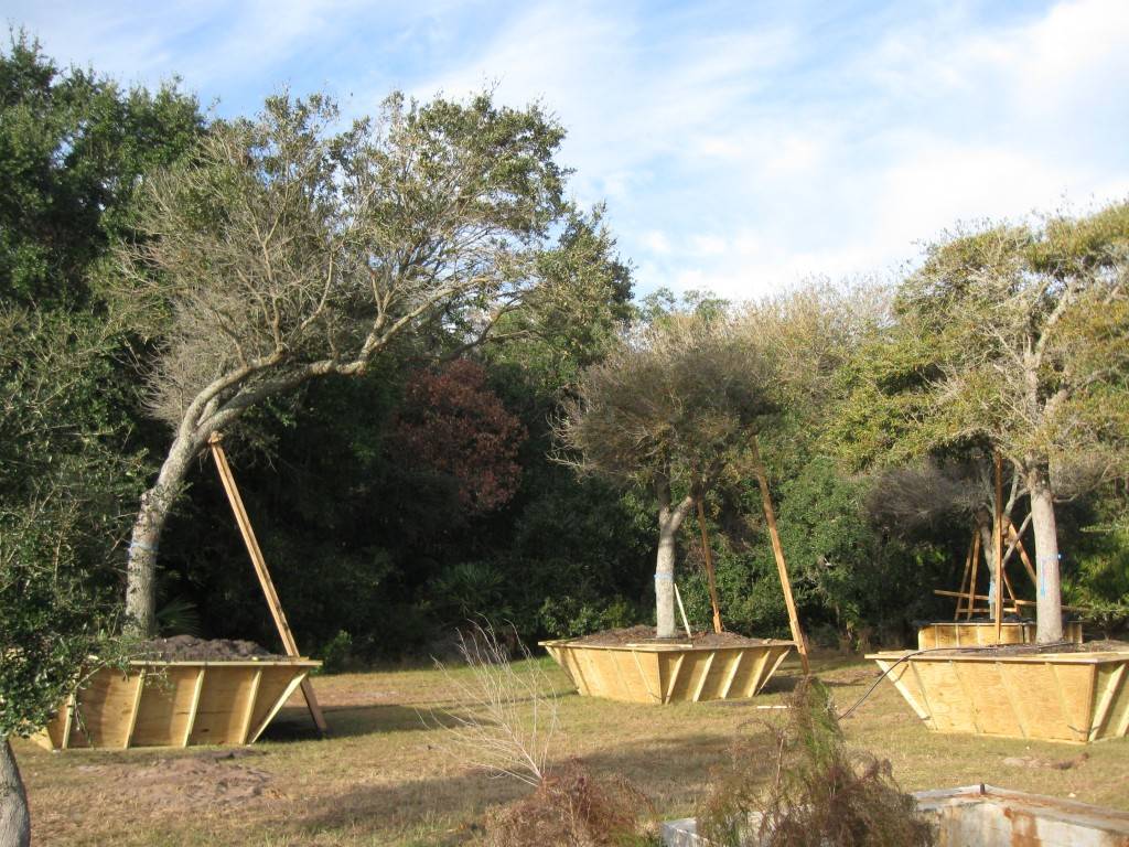 Jekyllisland 02 1024X768