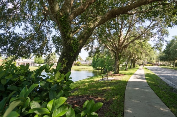 Tree Inventory Parks