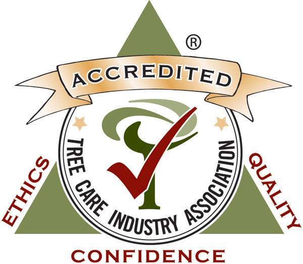 TCIA Accreditation