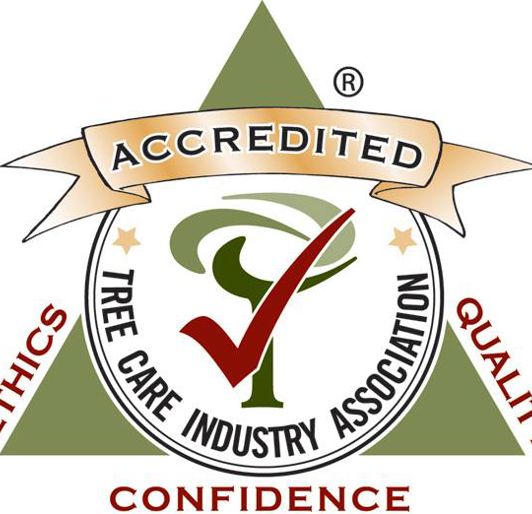 TCIA Accreditation