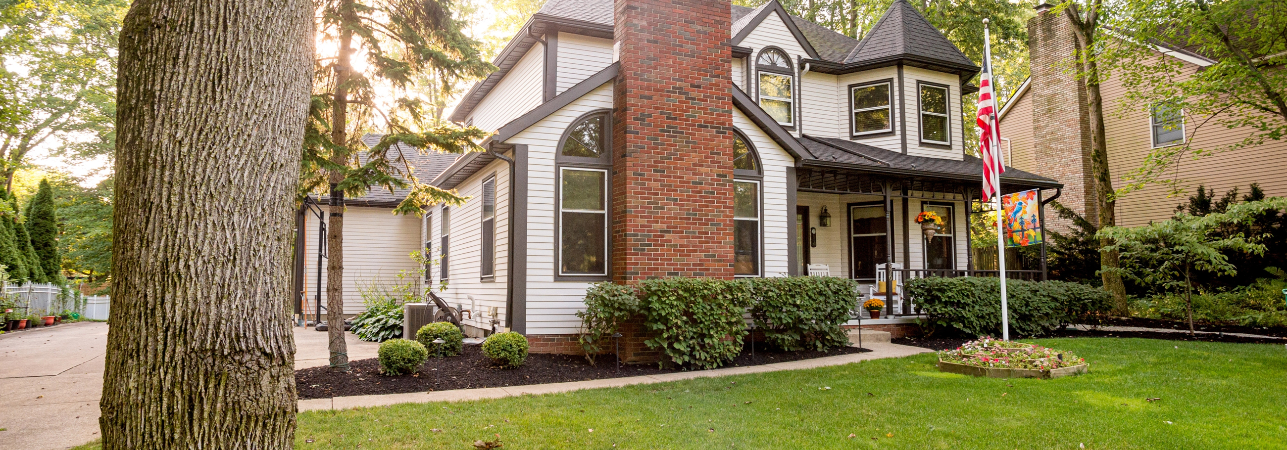 Tree Specialists Charlotte, NC